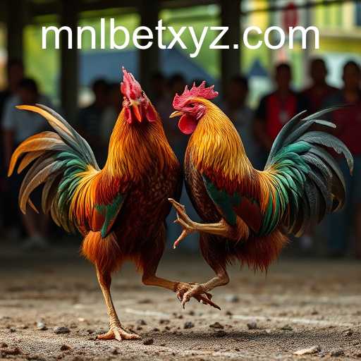 Understanding the Rise of Online Sabong and the Role of MNLBET